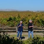 CambriaCN_0121 (November 05, 2016)